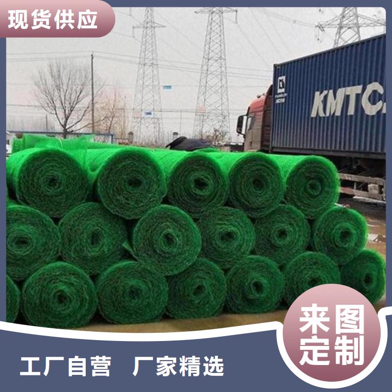 三维土工网垫本地厂家