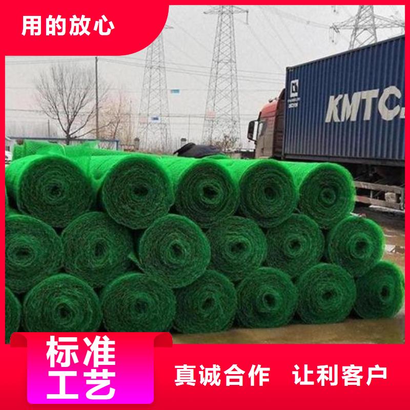 三维植被网植草格诚信商家服务热情