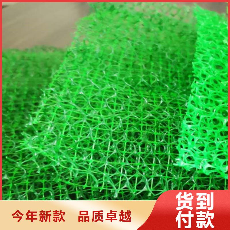 三维土工网垫本地厂家