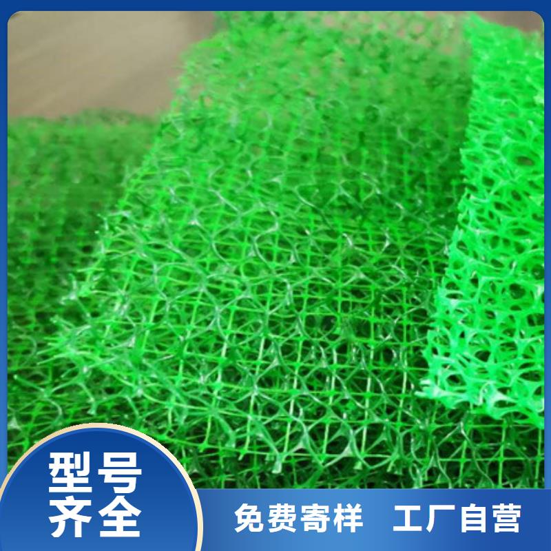 三维土工网垫本地工厂直营