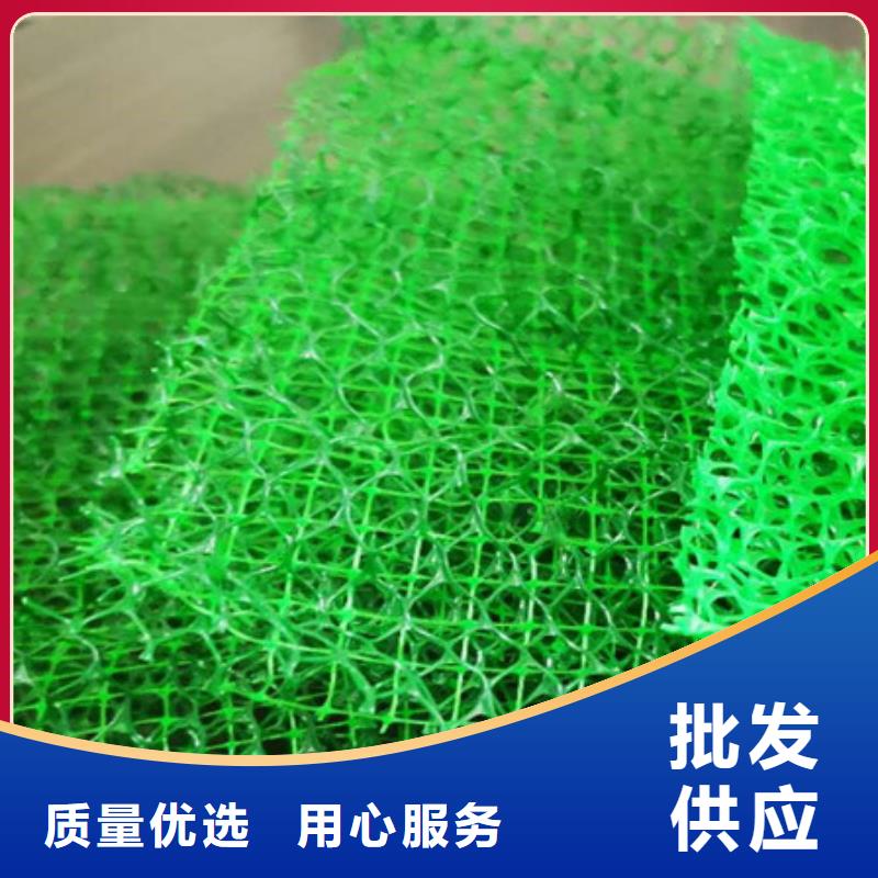 三维植被网植草格源头厂家来图定制