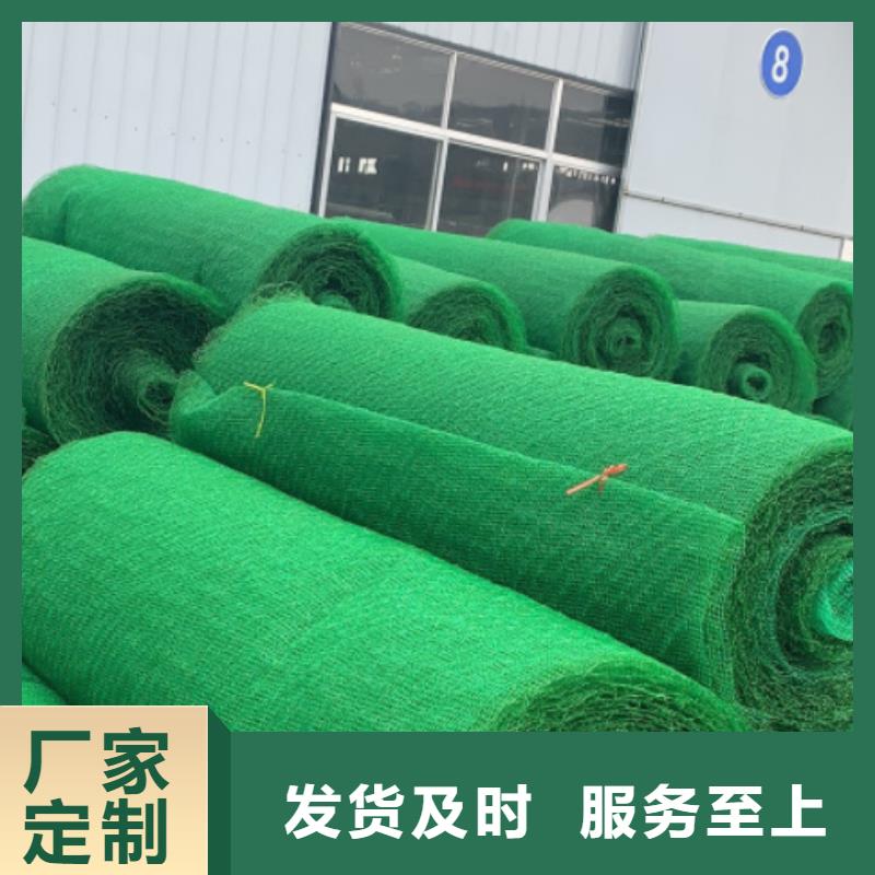 三维植被网2025行情价