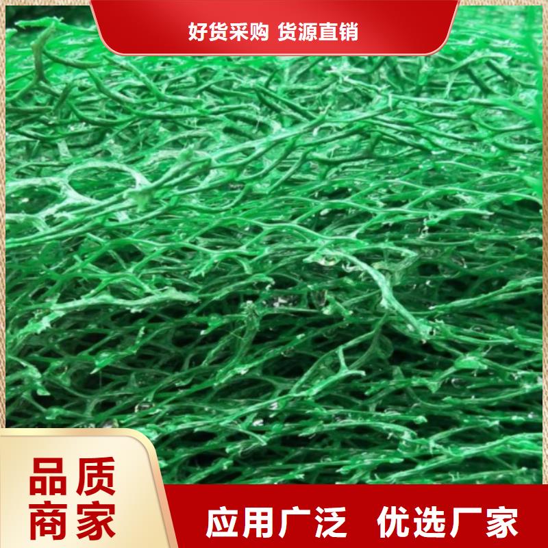 三维植被网防护虹吸排水收集系统懂您所需