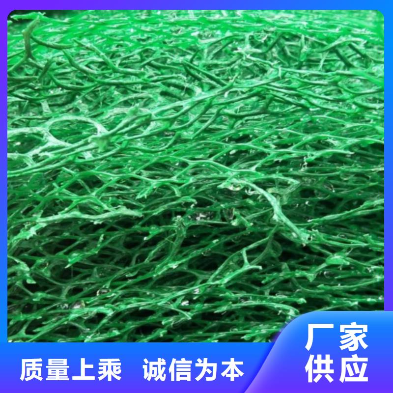 三维植被网生产厂家
