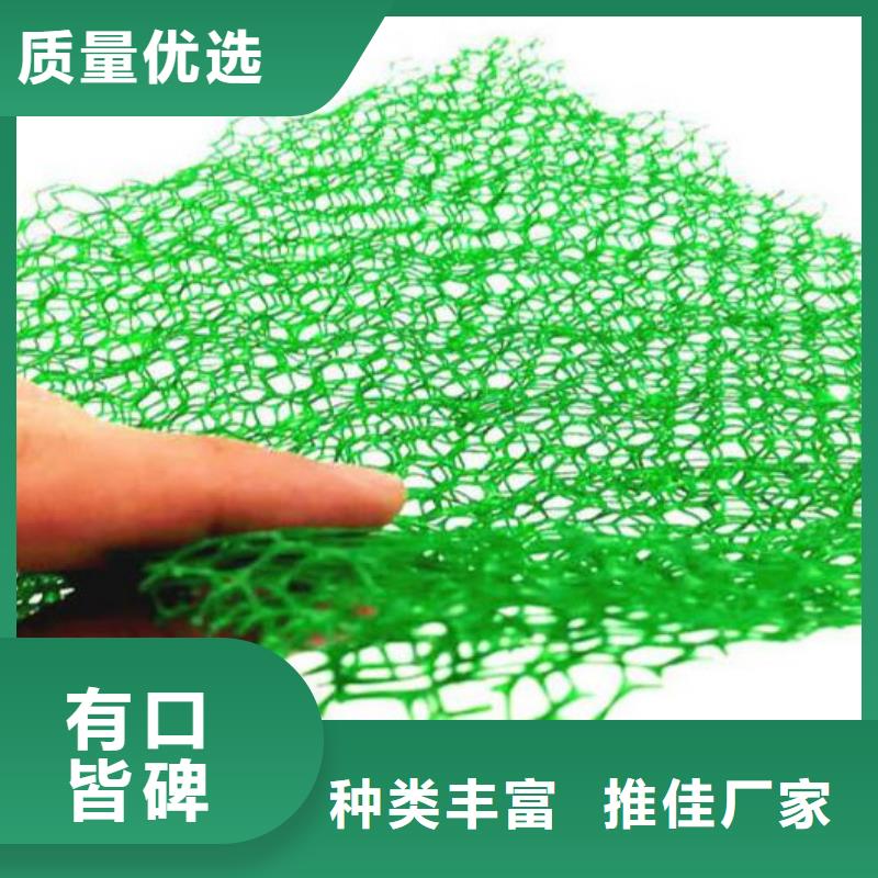 三维植被网批发价多少