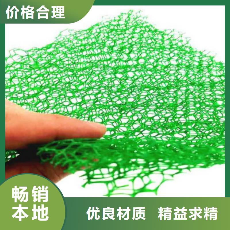 三维植被网植草格专业供货品质管控