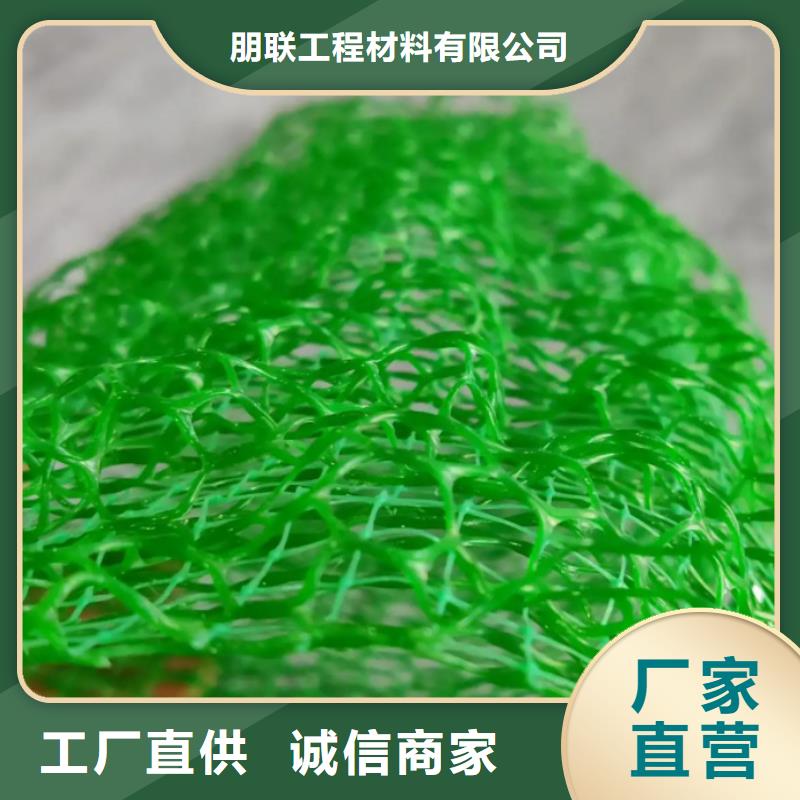 三维植被网【植草格】现货销售