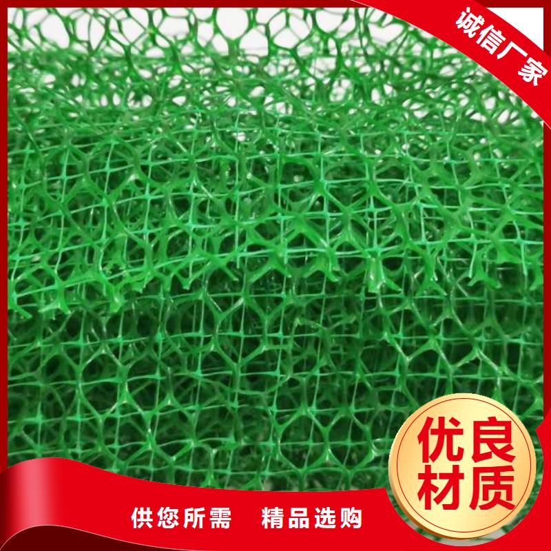 三维植被网价格/欢迎咨询