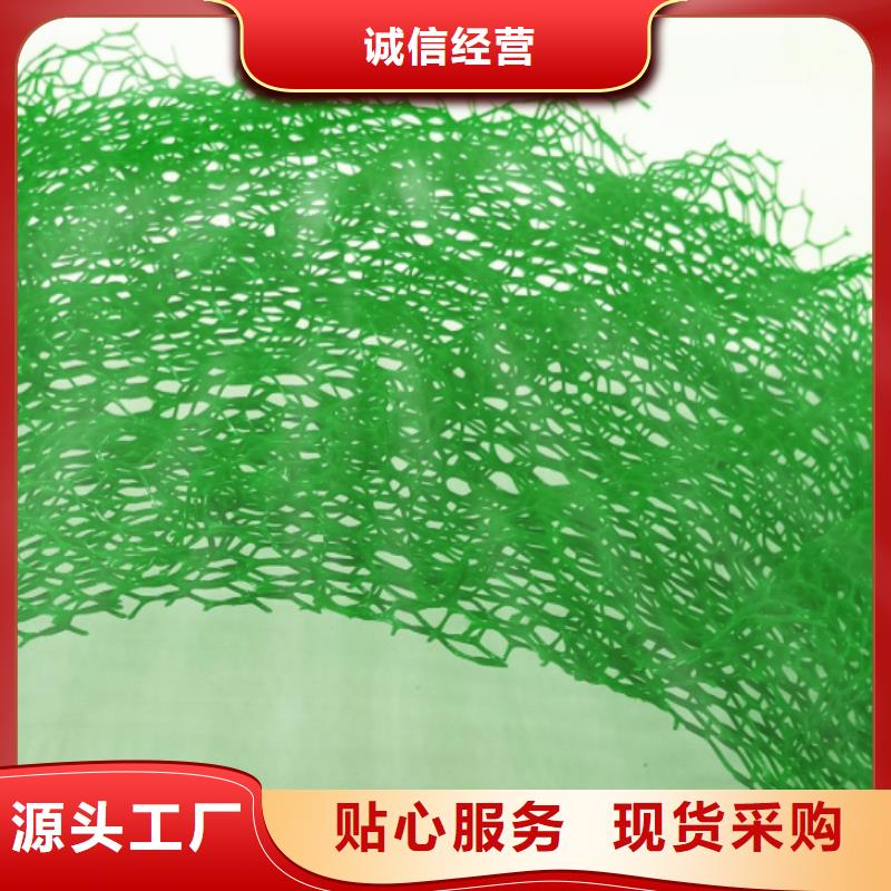三维植被网防护虹吸排水收集系统支持加工定制