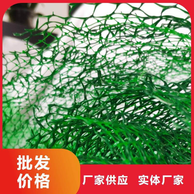三维植被网植草格源头厂家来图定制