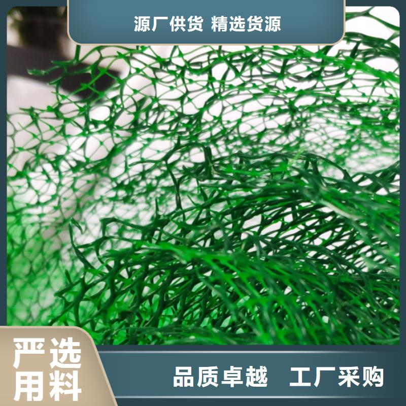 三维植被网厂家价格