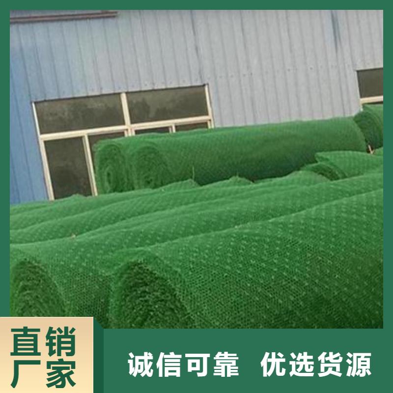 三维植被网植草格诚信商家服务热情