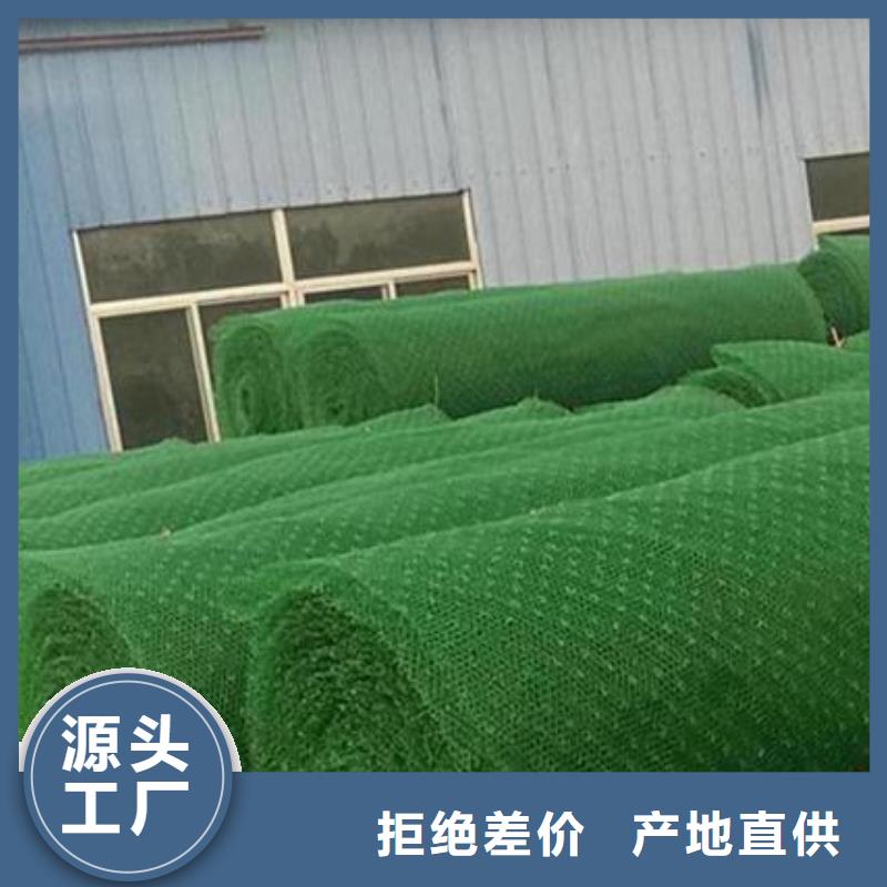 三维植被网价格/欢迎咨询