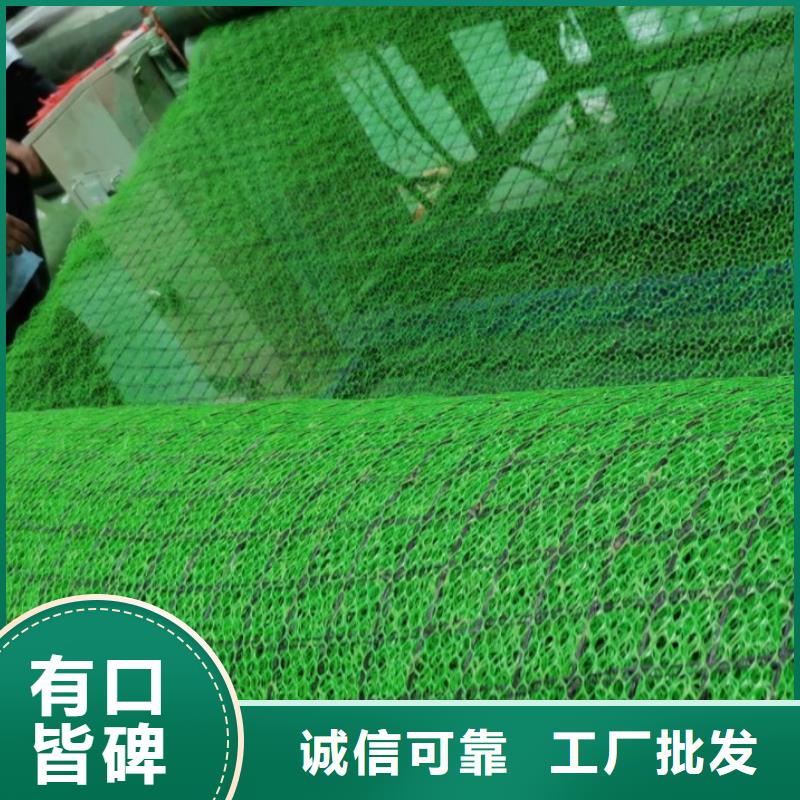 三维植被网-防护虹吸排水收集系统种类多质量好