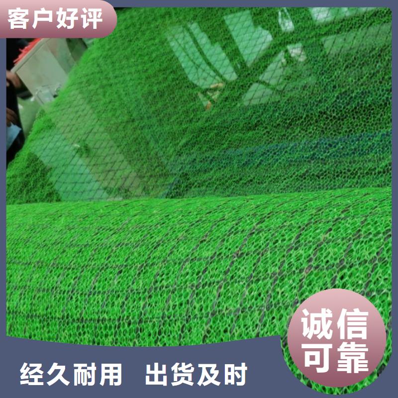 护坡土工网工厂店直营