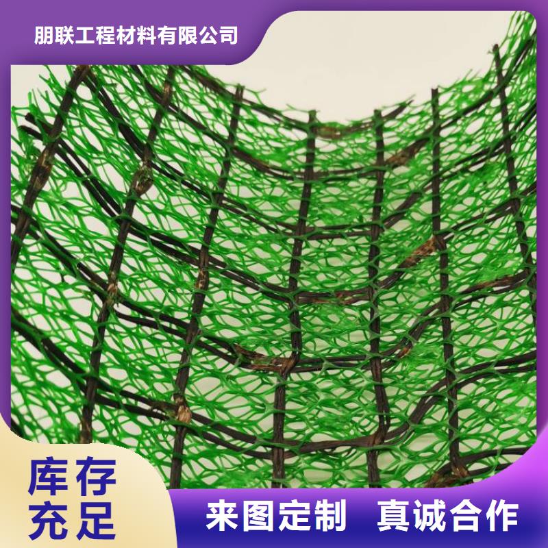 三维土工网垫山东朋联工程