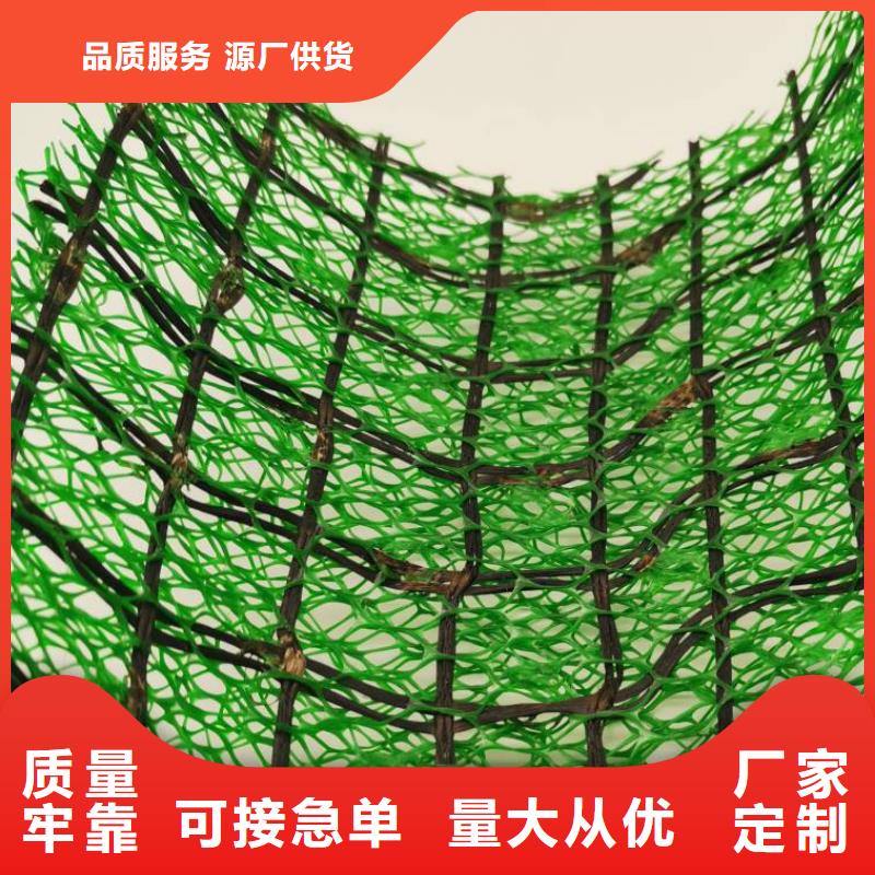 三维植被网-植草格专业生产制造厂