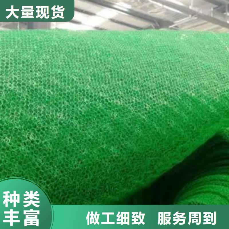 三维土工网垫闪电发货