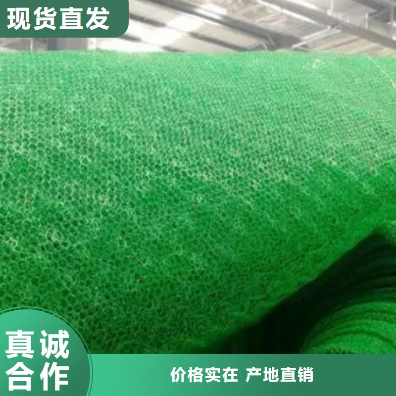 三维土工网垫本地工厂直营