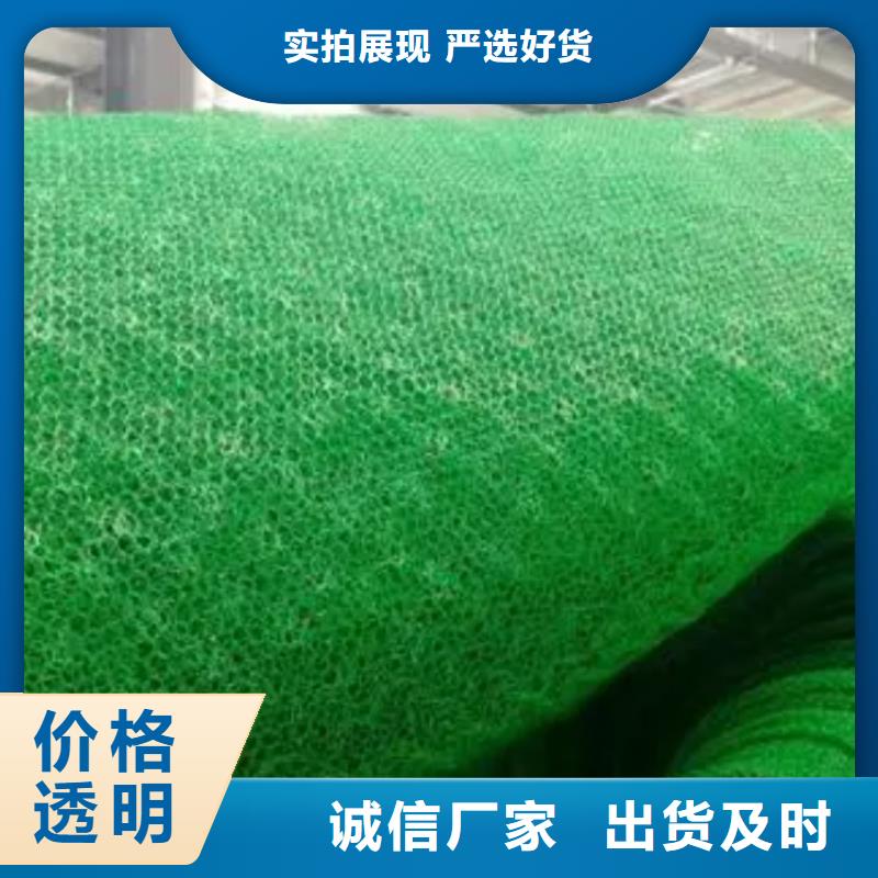 三维植被网性价比高