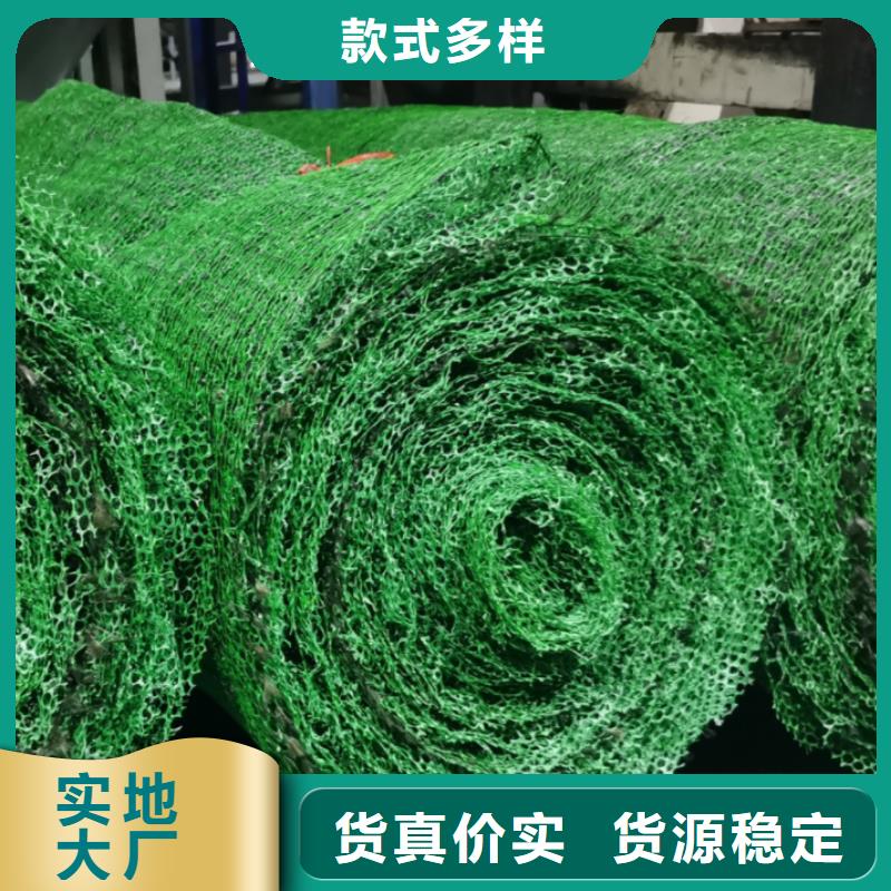 护坡土工网型号