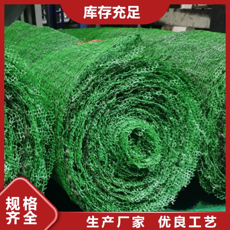 三维植被网水泥化粪池行业优选