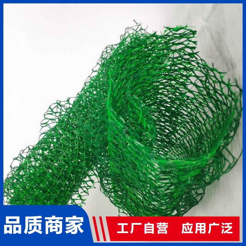 三维植被网性价比高