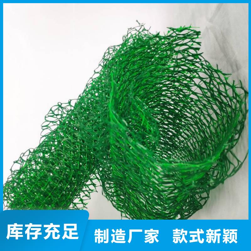 三维土工网垫闪电发货