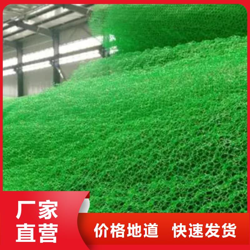三维植被网植草格源头厂家来图定制
