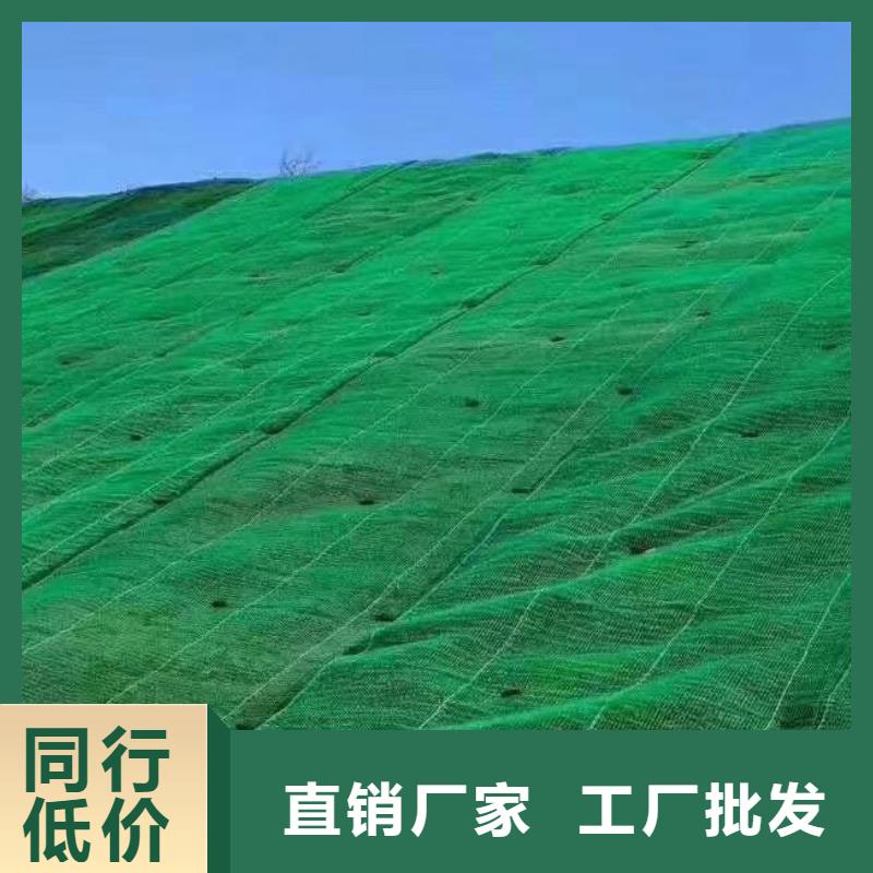 三维土工网垫厂家定制价
