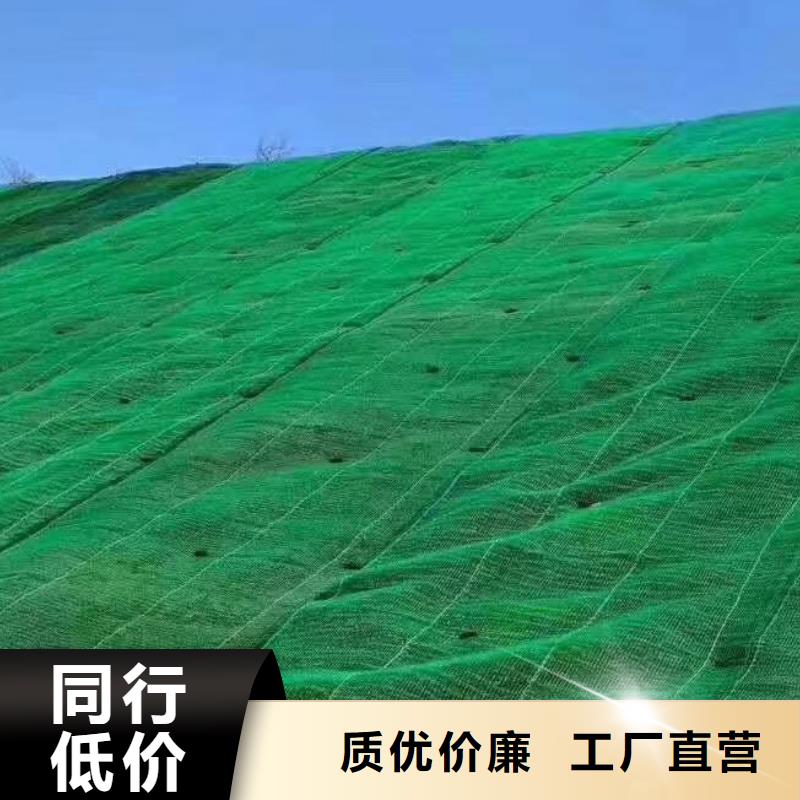 三维植被网植草格品牌专营