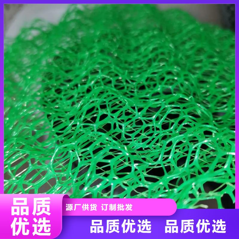 三维土工网垫有限公司-批发生产