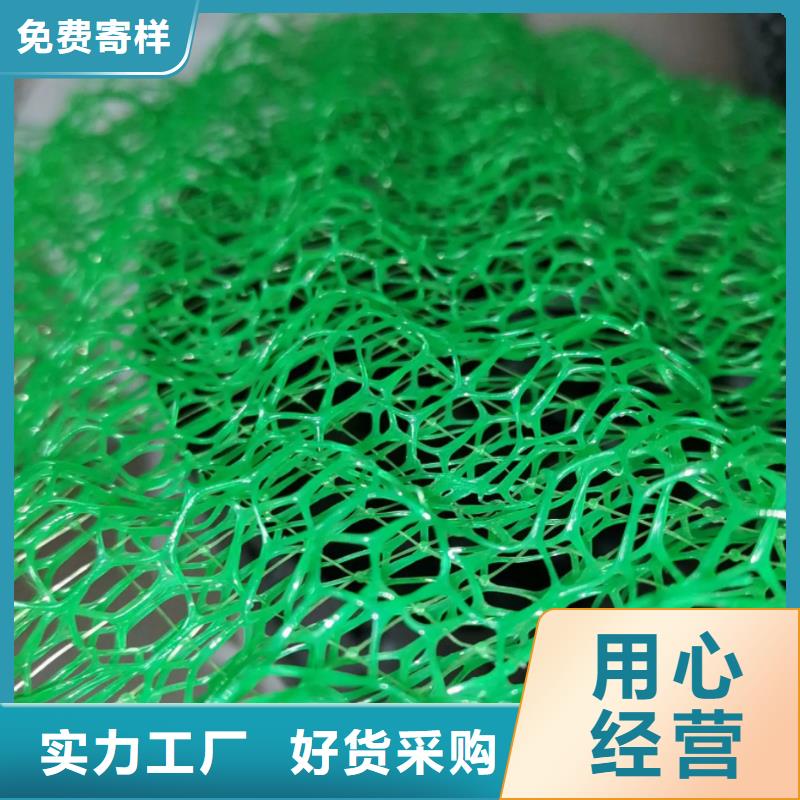 三维植被网植草格源头厂家来图定制