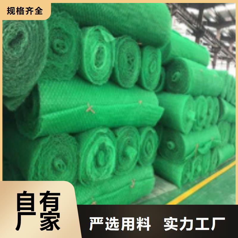 三维植被网批发价多少