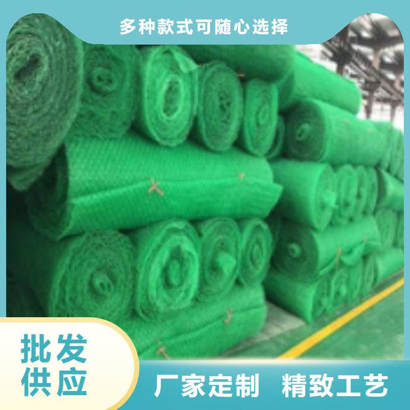 三维土工网垫厂家定制价