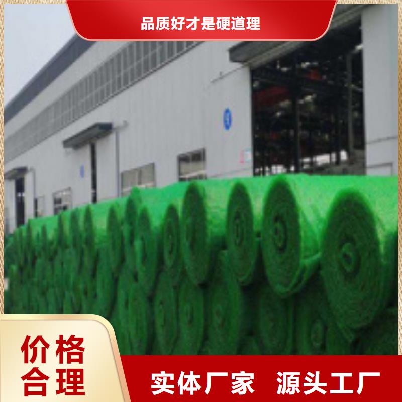 三维植被网厂家定制价