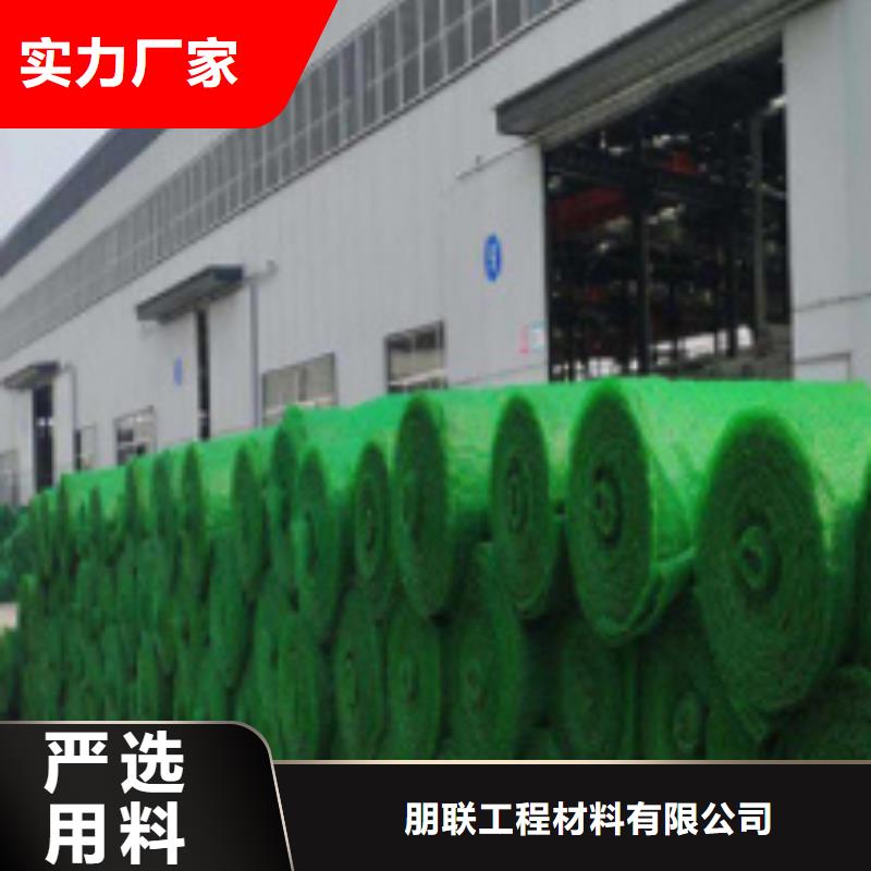 三维土工网垫本地厂家