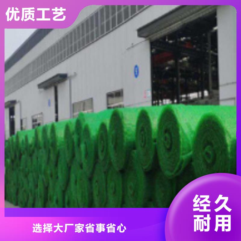 三维植被网植草格品牌专营