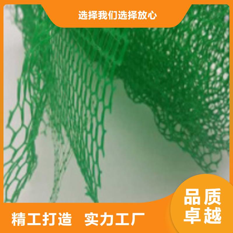 三维土工网垫本地厂家