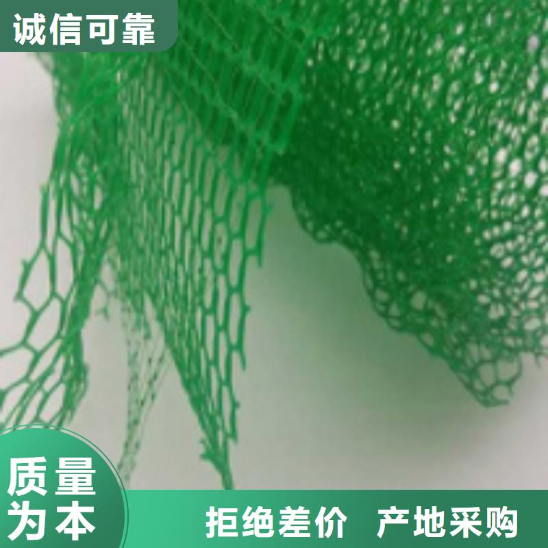 三维土工网垫价格