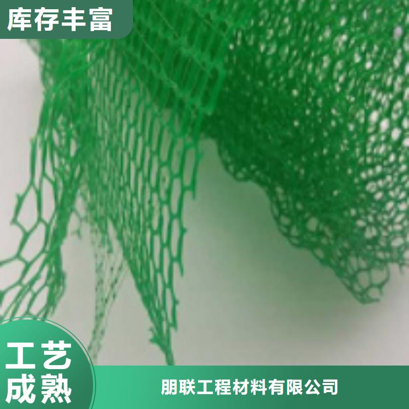 三维植被网排水板通过检测
