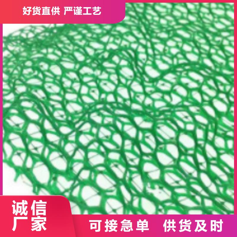 三维植被网-植草格专业生产制造厂