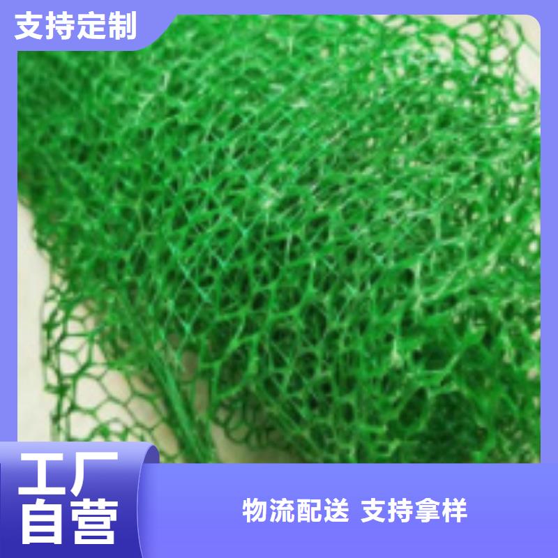 三维土工网垫有限公司-批发生产