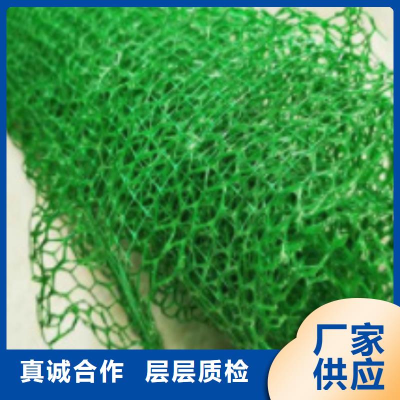 三维植被网规格型号