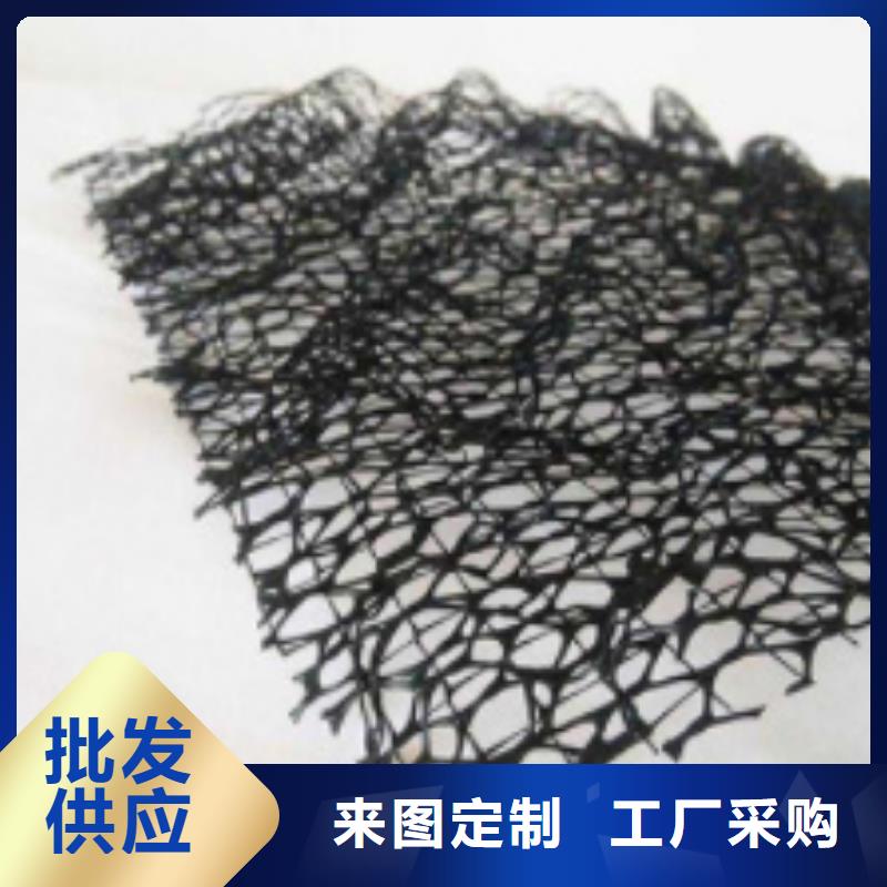 三维土工网垫边坡复绿