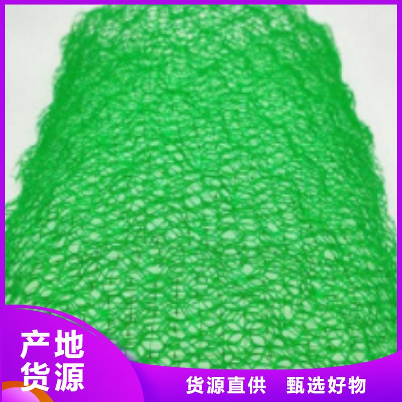 三维植被网规格型号