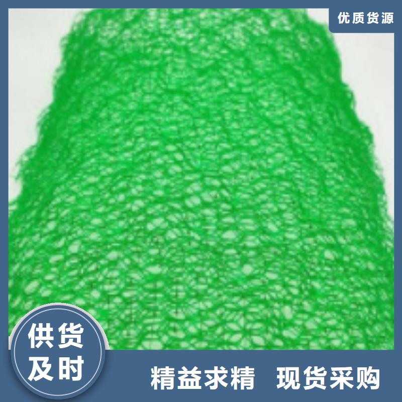 三维植被网植草格源头厂家来图定制