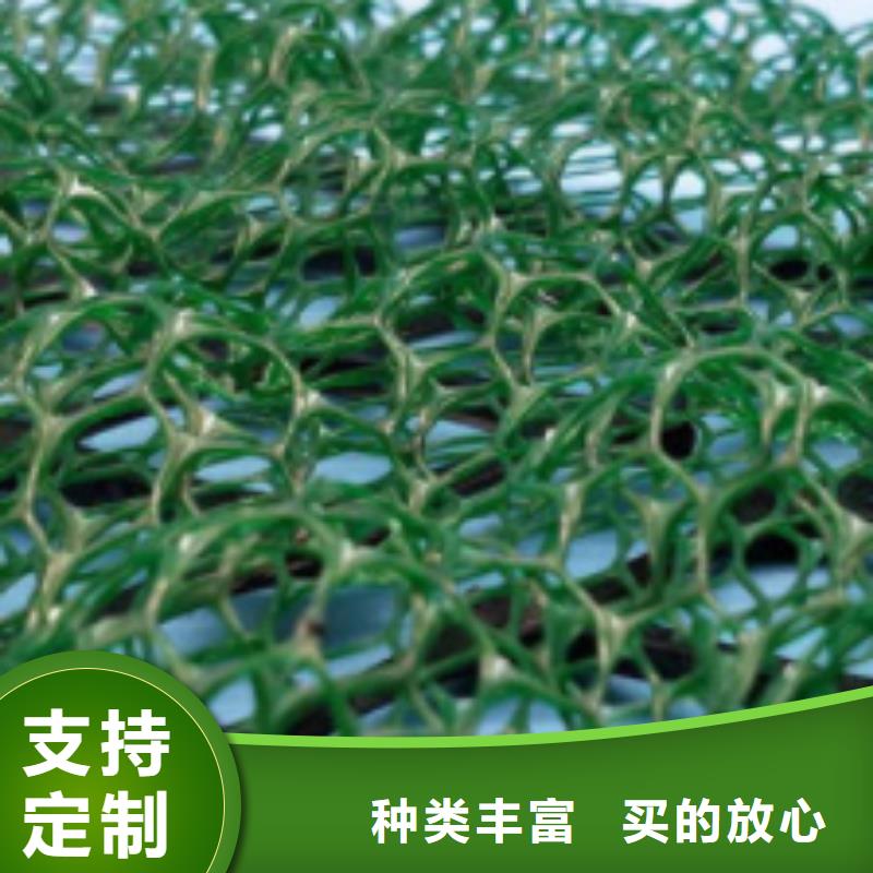 三维植被网植草格诚信商家服务热情