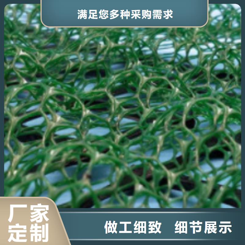 三维植被网植草格可零售可批发
