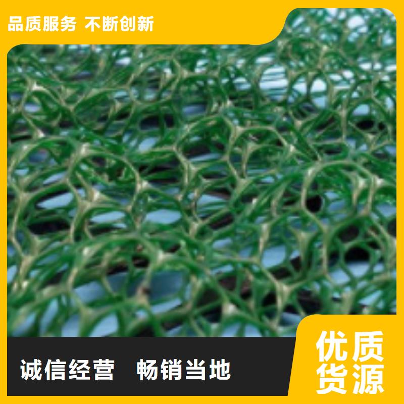三维植被网工厂价